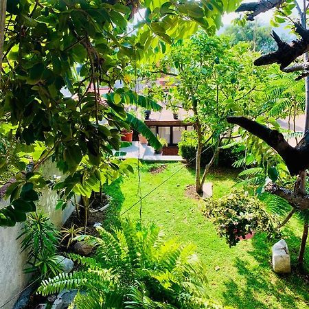 阿特利斯科Casa Rustica别墅 外观 照片